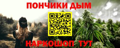 МДПВ Бийск
