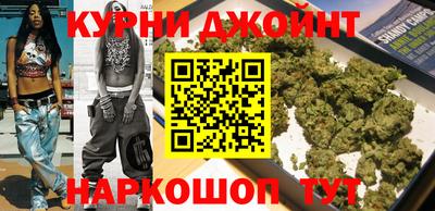 МДПВ Бийск
