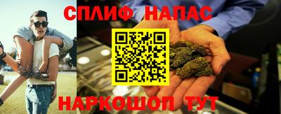 МДПВ Бийск