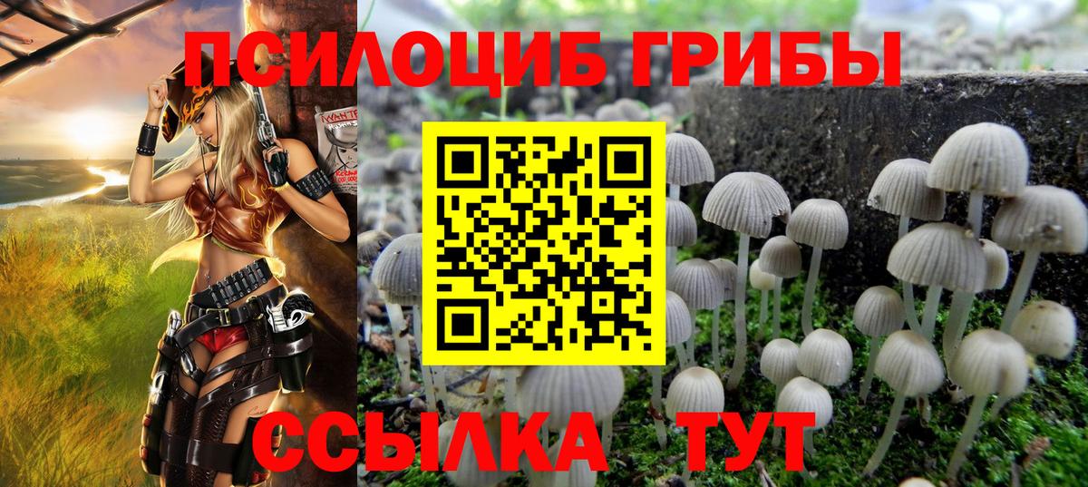Псилоцибиновые грибы GOLDEN TEACHER  Вход с VPN  Коломна 